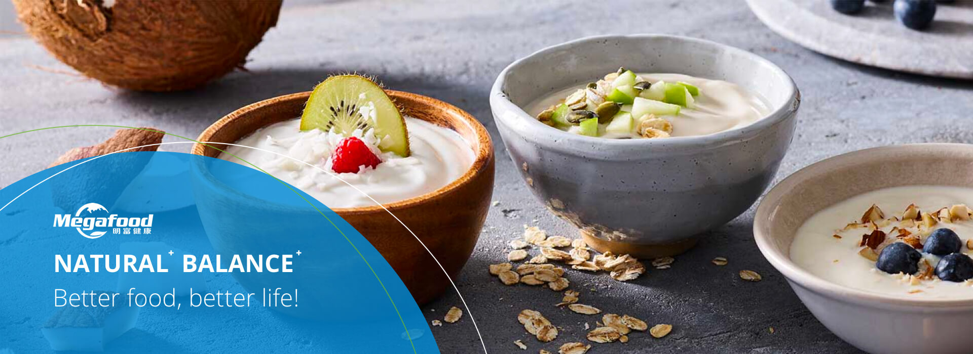 lactic acid powder supplier