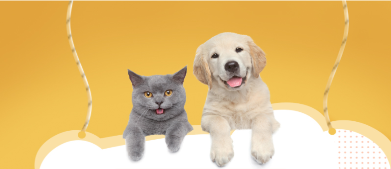 微微 图片 _20210326154812.