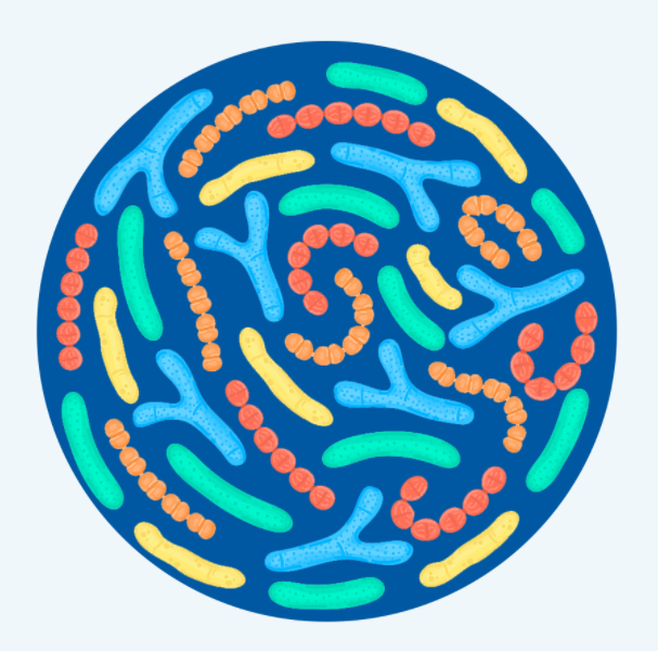 Каковы эффекты пробиотических добавок?